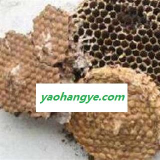 蜂房 硬蜂房统货 产地 山东省 山峰房 好统货 供应各钟中药材 冷背货 矿石等图1