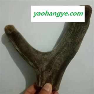 鹿茸 鹿茸二杠产地直供支持货到付款 产地 吉林省白山市抚松县图1