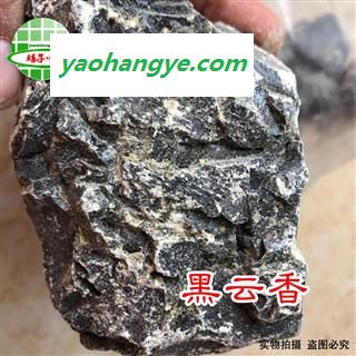 枫香脂 黑云香 正品 产地 内蒙古自治区 零售白云香 树脂没药图1