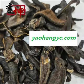 【包邮】大水蛭 清水吊干货（500g）江苏产 药典正品 全干 无加重【良心经营 品种齐全】图1