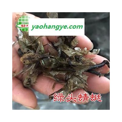 蜻蜓 绿头蜻蜓统货 产地 河北省 买好药找娟子