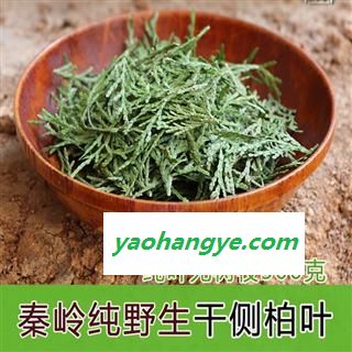 干侧柏叶秦岭野生侧柏叶新鲜干侧柏叶洗发生发乌发阴干侧柏叶500g图1
