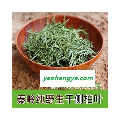 干侧柏叶秦岭野生侧柏叶新鲜干侧柏叶洗发生发乌发阴干侧柏叶500g