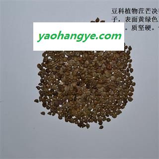 灵吉药业  望江南  凤凰草 羊角豆 正品 地道药材 货真价实 批发零售图1