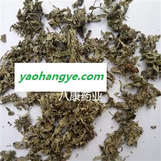 艾叶 大叶01统 产地 河南省安阳市龙安区图1