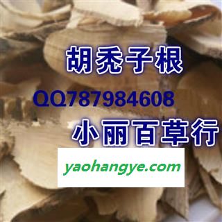 中药材 胡秃子根 胡颓子根 牛奶图1