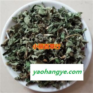 小丽百草行褚桃叶 楮树叶 楮叶 名构叶 构树叶谷树叶图1