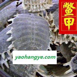 鳖甲 选 生鳖甲 干净 诚信铸就未来 供应各种中药材 产地 山东省图1