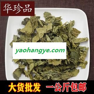 桑叶 01 桑叶 统 产地 福建省漳州市漳浦县图1