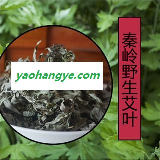 秦岭野生艾叶艾草艾叶草干艾蒿泡脚泡澡驱蚊驱寒散湿艾叶精选无硫