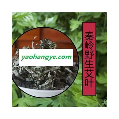 秦岭野生艾叶艾草艾叶草干艾蒿泡脚泡澡驱蚊驱寒散湿艾叶精选无硫