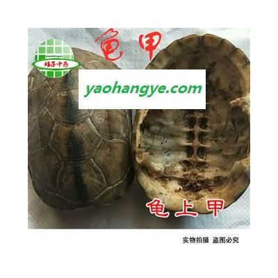 龟板 龟甲 龟壳 龟上甲 龟板 龟上壳 旱龟板 产地 湖北省 买好药找娟子