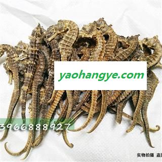 娟子中药  海马 选 产地  海外印尼  2g/条图1