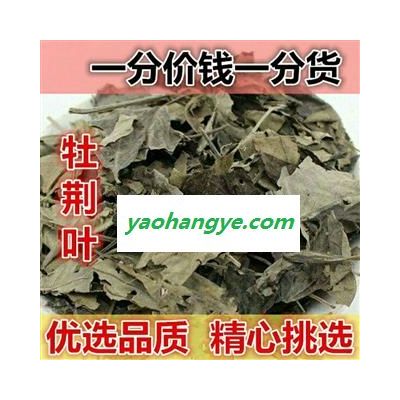 牡荆叶 正品保证质量7天无理由退货退款 安品堂