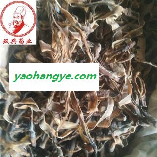 地龙 大开 产地 广西壮族自治区图1