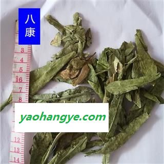 橘叶 01统图1