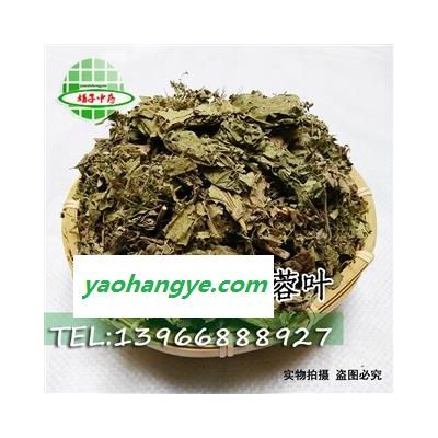 娟子中药 芙蓉叶 拒霜叶 芙蓉花叶 铁箍散 地芙蓉、芙蓉、山芙蓉  统货 产地 陕西省