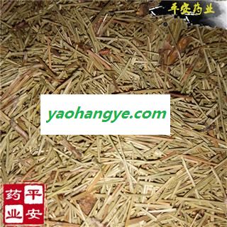 平安药业 松针 马尾松针 野正品 促销图1