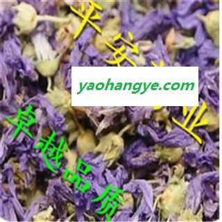 紫罗兰 草桂花 四桃克 草紫罗兰 品质保证 卓越品质图1