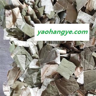 荷叶，荷叶块，荷叶茶，中方片， 产地 山东省图1