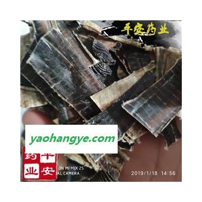 地龙 地龙全开大片 选货 过药检 无泥沙【品质保证 卓越品质】