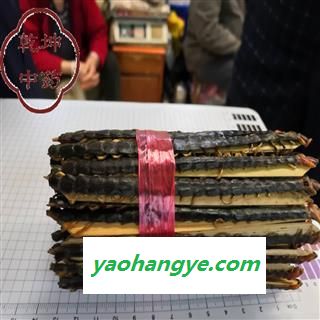 蜈蚣 12-13cm中条 产地 湖北省【诚信经营 品种齐全】图1