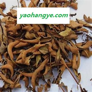 石韦  好统 产地 云南省思茅市镇沅彝族哈尼族拉祜族自治县图1