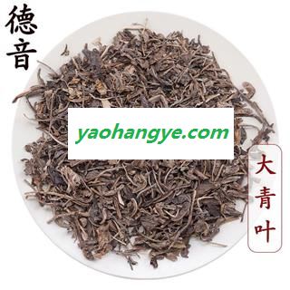 【满包邮】大青叶 统货 产地甘肃 1000g 中药材批发 规格齐全图1