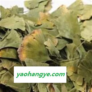 银杏叶 统 产地 山东省 国药堂 专注品质图1