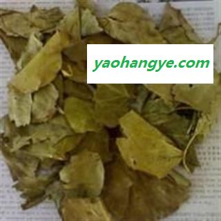 小丽百草行丁香叶 石楠叶图1