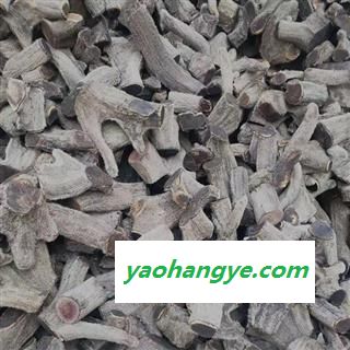 马鹿茸 鹿茸投料段符合2020版药典标准产地直供 产地 吉林省白山市抚松县图1