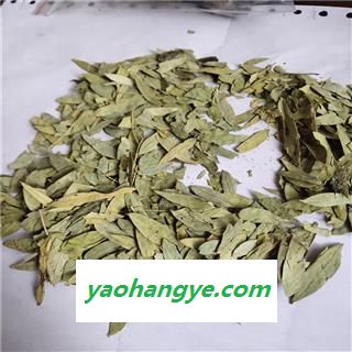 泻叶 番泻叶统货图1