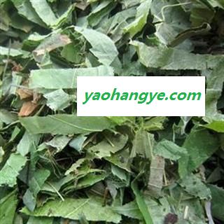 青淫羊藿 纯青淫羊藿统段 产地 吉林省图1