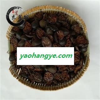 土鳖虫统货 药典标准  地道良药馆1000克直销图1