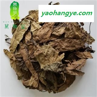 布渣叶 统货 产地 广东省图1