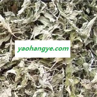 艾叶 文远药业 产地直供艾叶 艾条 医草 艾蒿 灸草 艾草 产地 河南省南阳市市辖区图1