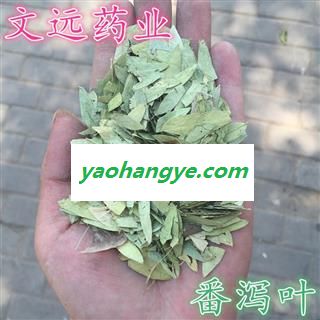 番泻叶 番泻叶选货 产地 云南省曲靖市市辖区图1