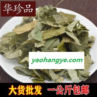 淫羊藿 03 甘肃淫羊藿 统 产地 山西省临汾市隰县图1