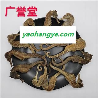海马 统 产地 广东省图1