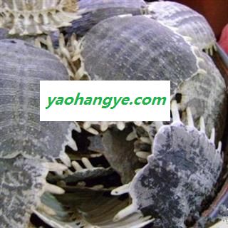 鳖甲 生鳖甲统货 不掺下甲 产地 山东省图1