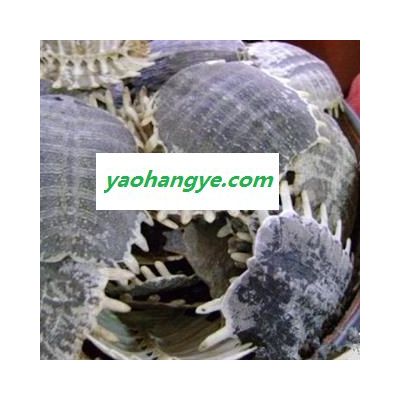 鳖甲 生鳖甲统货 不掺下甲 产地 山东省