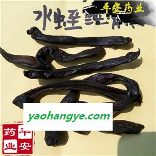 大水蛭 清水选货 优质【品质保证 卓越品质】 蚂蟥图1