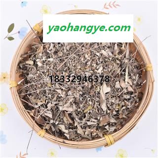 小丽百草行木豆叶今年新货图1