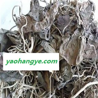 【满包邮】三七叶 统 1000g 产地 云南省图1