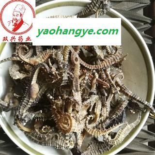 海马 海马中条 2克左右 本店批发各种奇花异草以及各种名贵中药材，花茶，香料，根茎，果实种子类，全草类，花叶类，皮类，菌藻类，动物类，矿石类等 产地 福建省图1