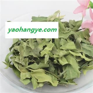罗布麻叶统货 产地 新疆维吾尔自治区 国药堂 专注品质图1