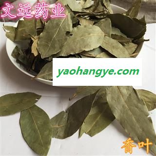 香叶 香叶 产地 广西壮族自治区玉林市玉州区图1