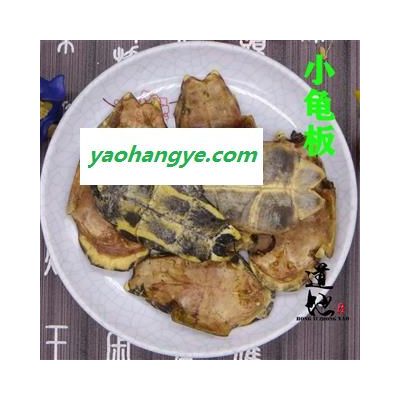 龟板 小龟板 生的 产地 四川省
