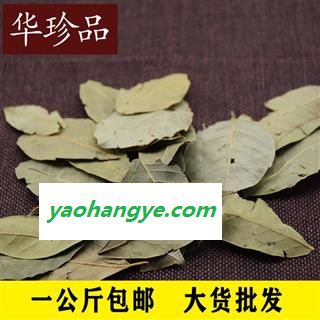 香叶 01 香叶 统 产地 广东省湛江市徐闻县图1