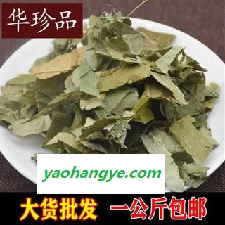 淫羊藿 东北淫羊藿 统 产地 黑龙江省图1